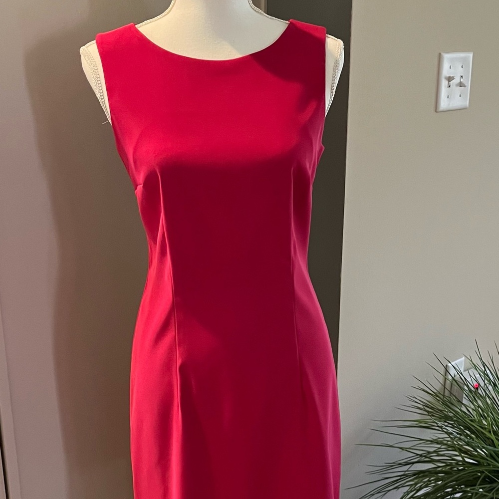 Dress Barn dress